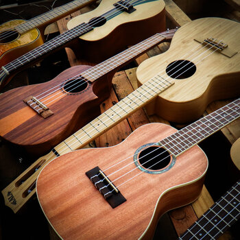 Ukulele