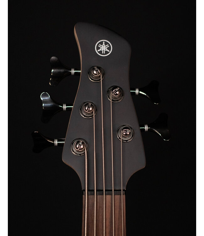 Yamaha TRBX505 TBL, 5-String Bass, Translucent Black