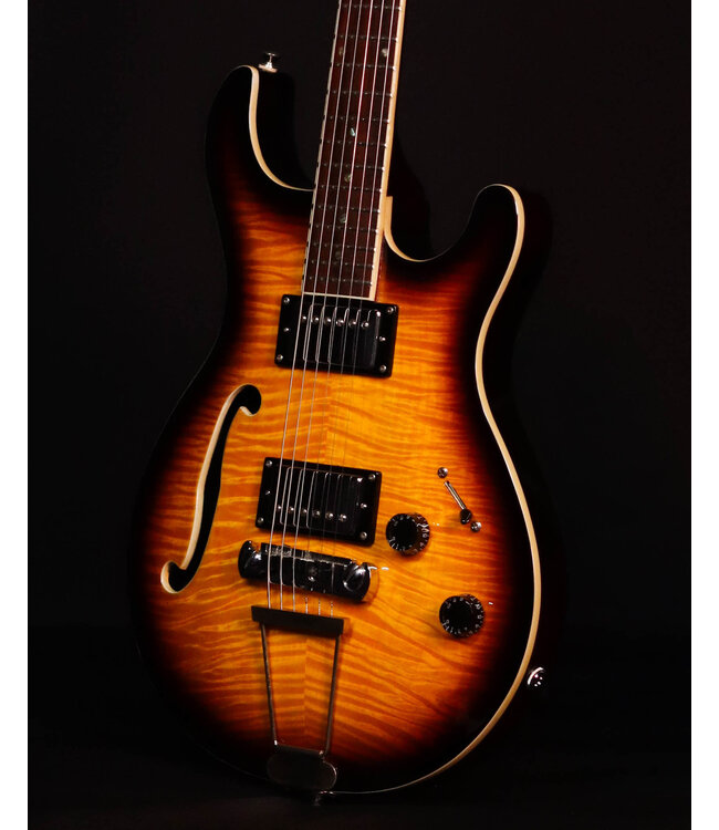 Haywire Custom Semi Hollow Body Guitar, Sunburst - USED