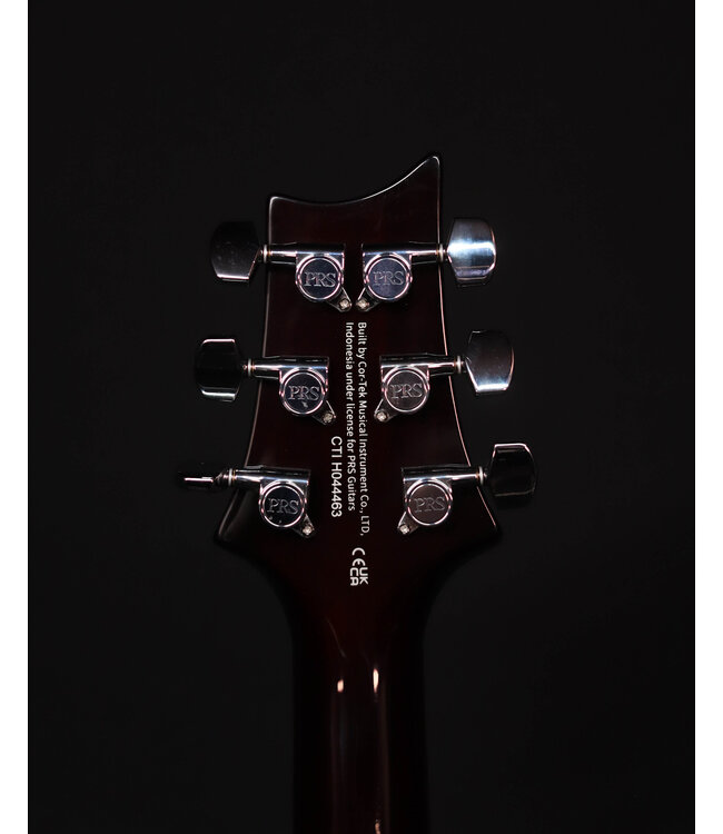 PRS SE DGT, Gold Top with Moons Inlay