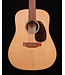 Martin DX2E 12-String Dreadnought Acoustic Electric, Sitka/Faux Brazilian