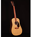 Martin DX2E 12-String Dreadnought Acoustic Electric, Sitka/Faux Brazilian