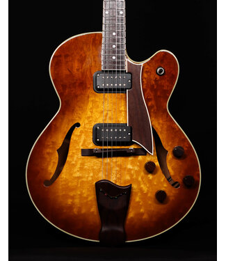 Fender Fender Designed by D'Aquisto Hollow Body Guitar, w/ Hard Shell Case - USED