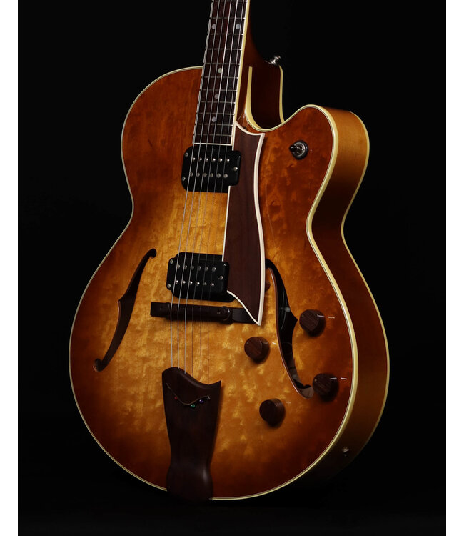 Fender Designed by D'Aquisto Hollow Body Guitar, with Hard Shell Case - USED