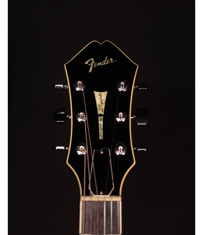 Fender Designed by D'Aquisto Hollow Body Guitar, with Hard Shell Case - USED