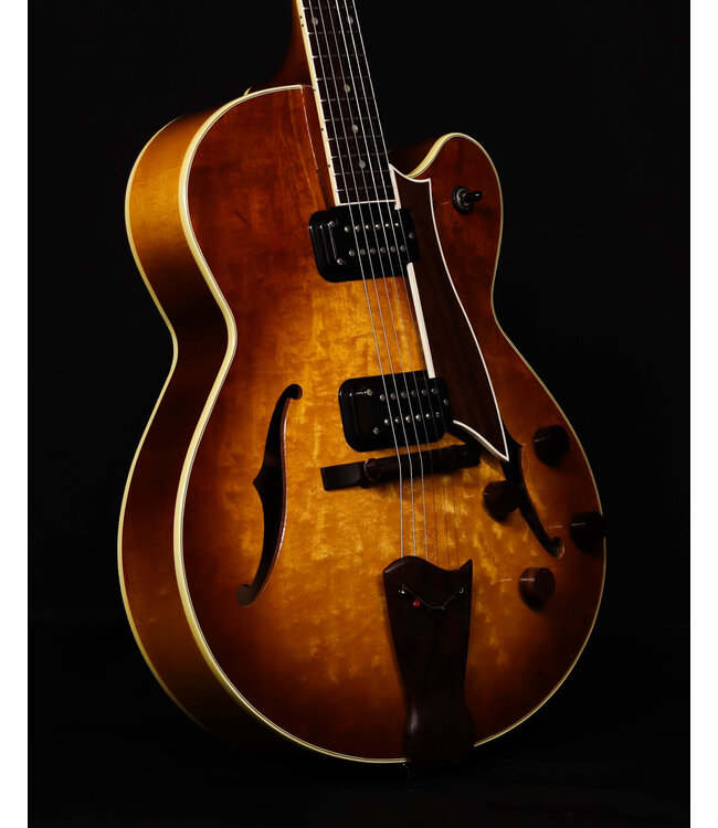 Fender Designed by D'Aquisto Hollow Body Guitar, with Hard Shell Case - USED