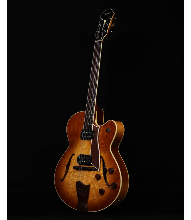 Fender Designed by D'Aquisto Hollow Body Guitar, with Hard Shell Case - USED