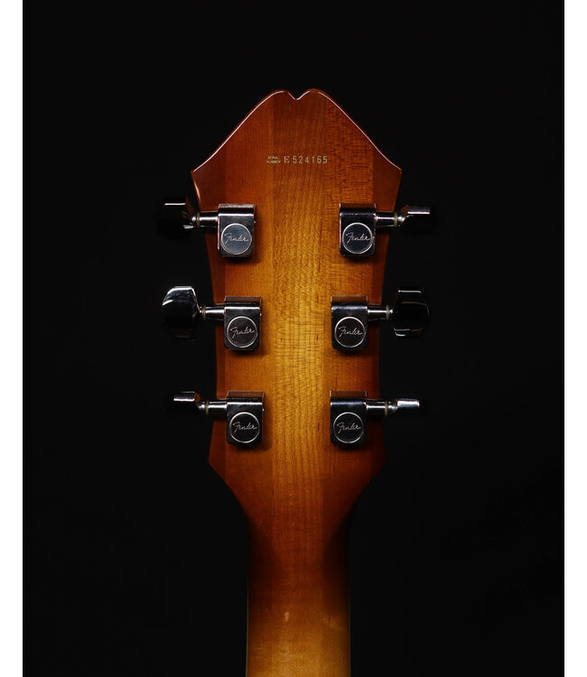 Fender Designed by D'Aquisto Hollow Body Guitar, with Hard Shell Case - USED