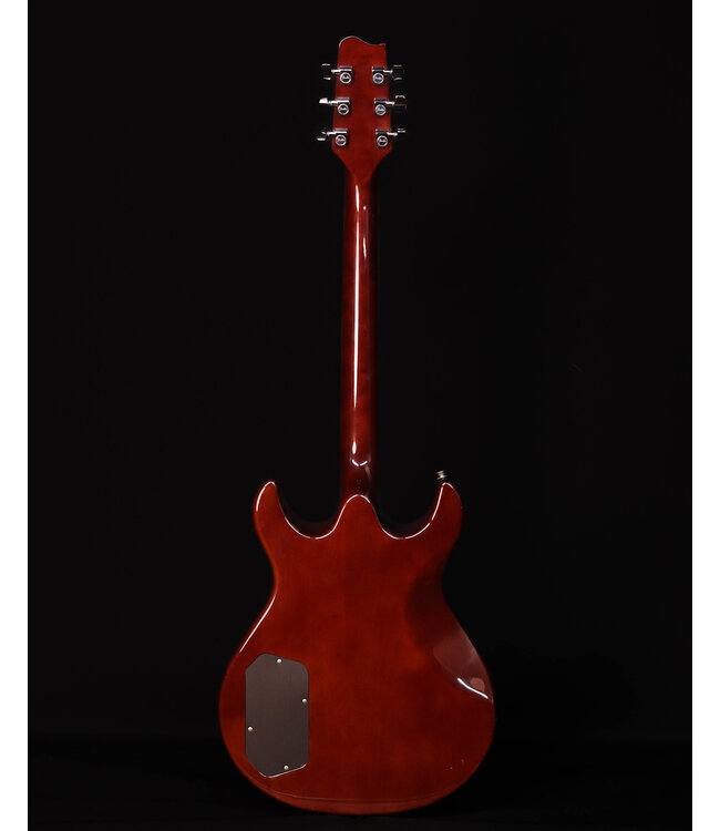 Fender Esprit, Autumn Burst, w/Hard Shell Case, SN3006 - USED