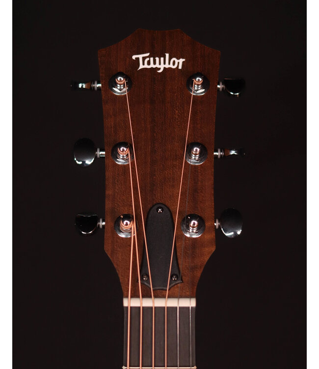 Taylor 24ce Acoustic Electric, Sapele/Mahogany