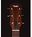 Taylor 24ce Acoustic Electric, Sapele/Mahogany
