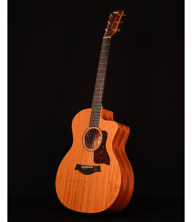 Taylor 24ce Acoustic Electric, Sapele/Mahogany