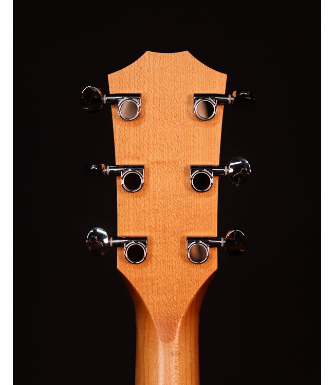 Taylor 24ce Acoustic Electric, Sapele/Mahogany