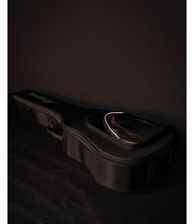 Alvarez MGA77 Acoustic Guitar with Deluxe Gig Bag, Shadowburst - USED