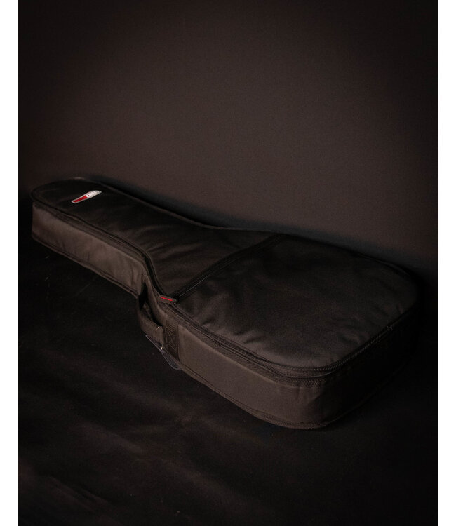 Alvarez AP66 Acoustic Guitar with Gig Bag, Shadowburst - USED