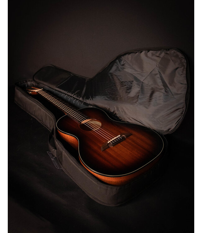 Alvarez AP66 Acoustic Guitar with Gig Bag, Shadowburst - USED