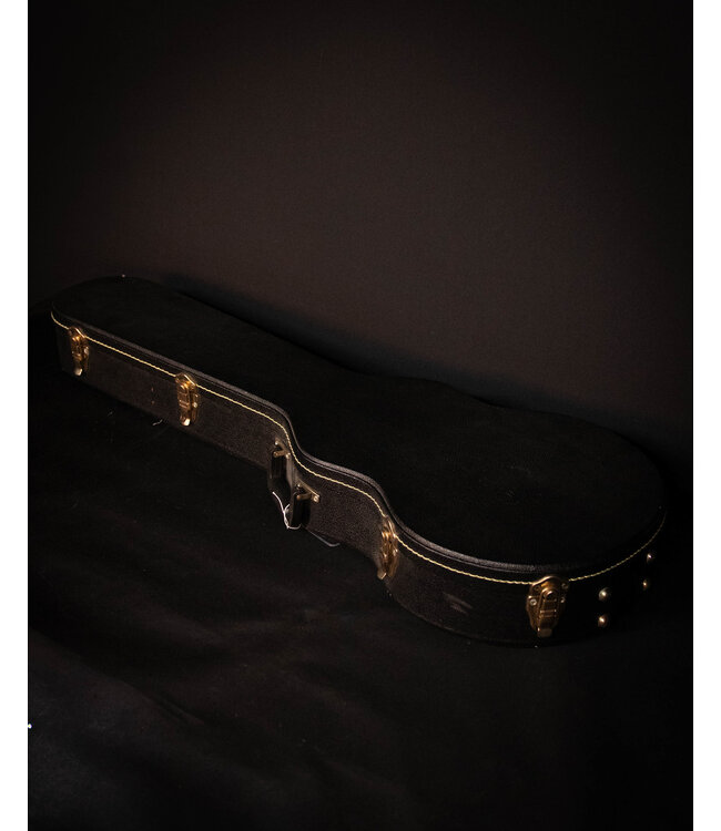 Washburn Ivory Eagle, w/ Hard Shell Case, 1981 - USED