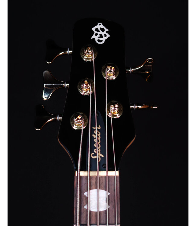 Spector Icon NS-5 Bolt-On 5-String Electric Bass, Black Stain Gloss