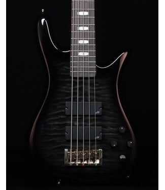 Spector Spector Icon NS-5 Bolt-On 5-String Electric Bass, Black Stain Gloss