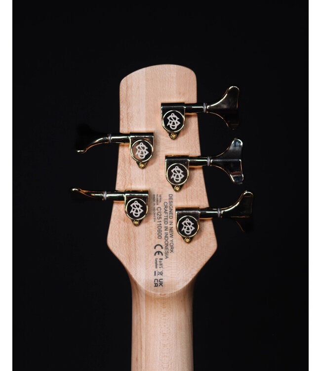 Spector Icon NS-5 Bolt-On 5-String Electric Bass, Black Stain Gloss