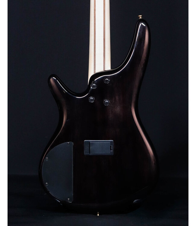 Ibanez SR400EPBDX 4-String Bass, Tropical Seafloor Burst
