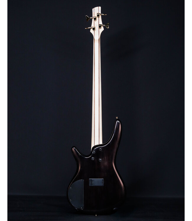 Ibanez SR400EPBDX 4-String Bass, Tropical Seafloor Burst