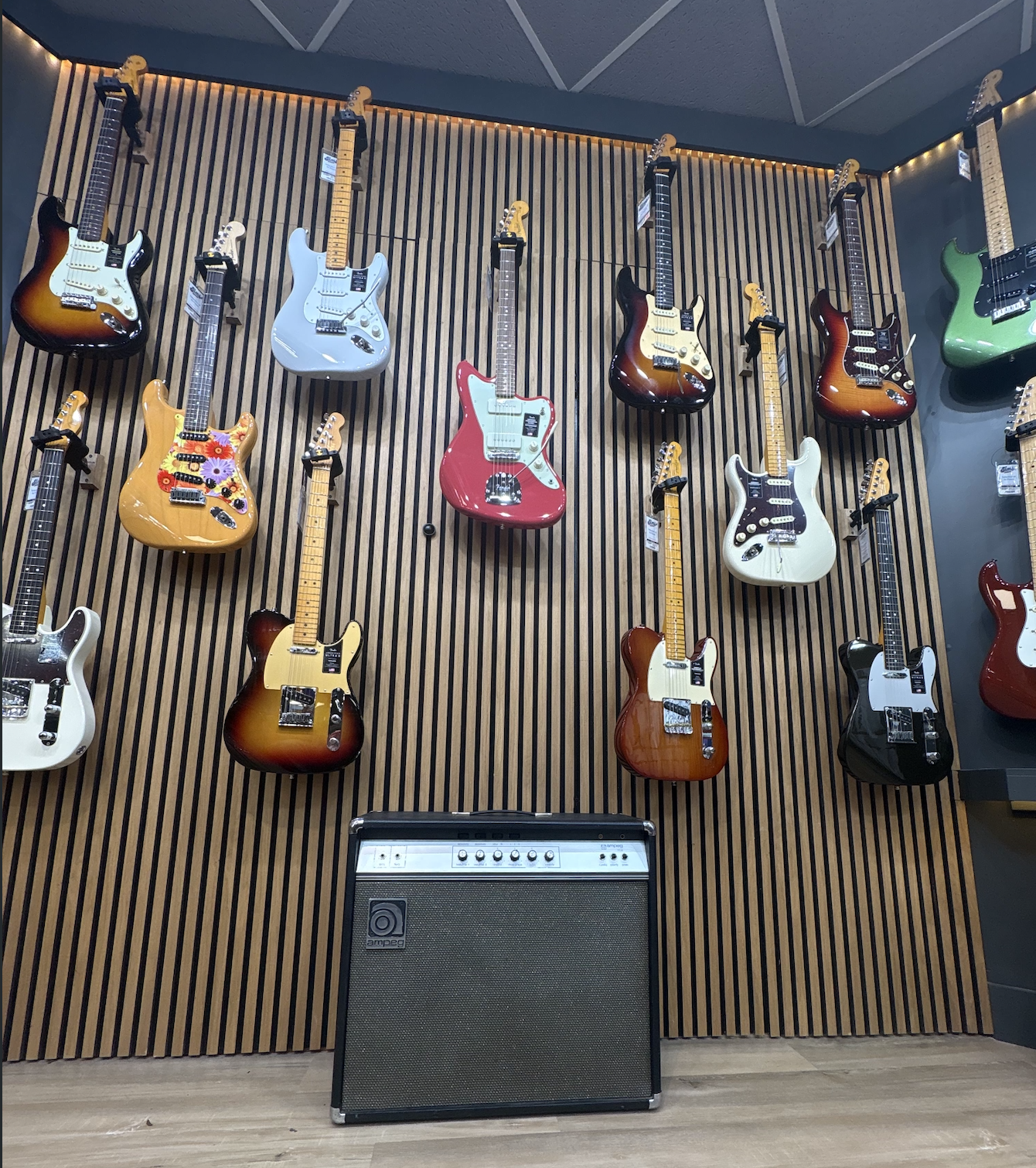 This Week in the Shop – Caroline Delivery, Vintage Ampeg, and a Growing Sims Family 