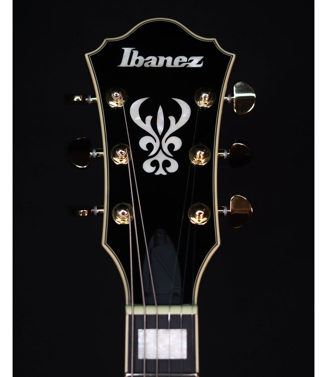 Ibanez AG95MGDA, AG Expressionist, Mango top/back/sides, Gold Hardware