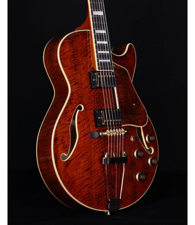 Ibanez AG95MGDA, AG Expressionist, Mango top/back/sides, Gold Hardware