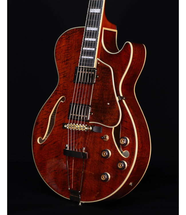 Ibanez AG95MGDA, AG Expressionist, Mango top/back/sides, Gold Hardware