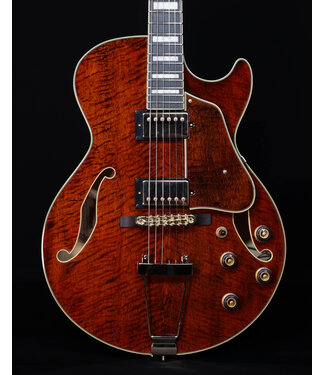 Ibanez Ibanez AG95MGDA, AG Expressionist, Mango top/back/sides, Gold Hardware