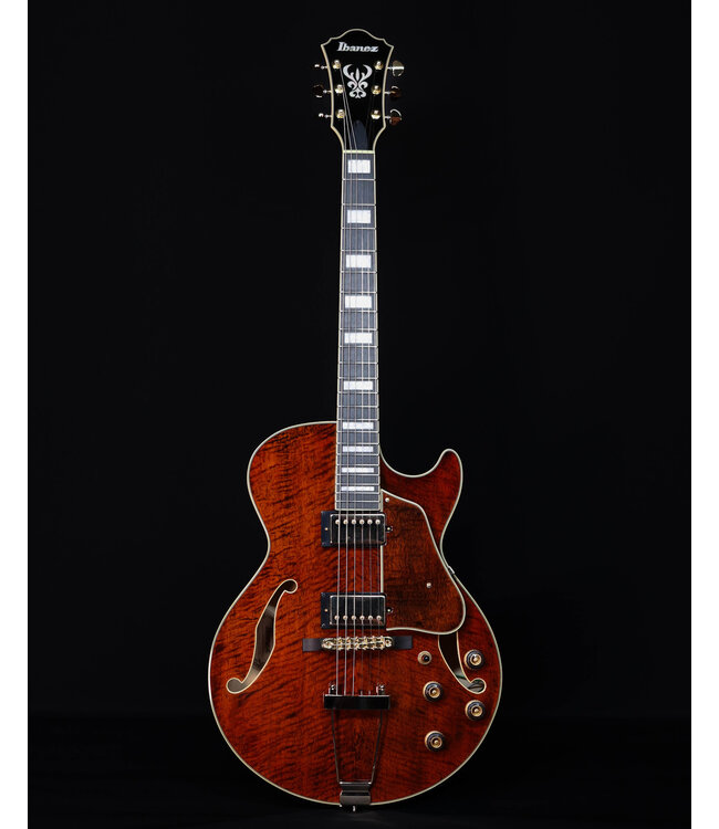 Ibanez AG95MGDA, AG Expressionist, Mango top/back/sides, Gold Hardware