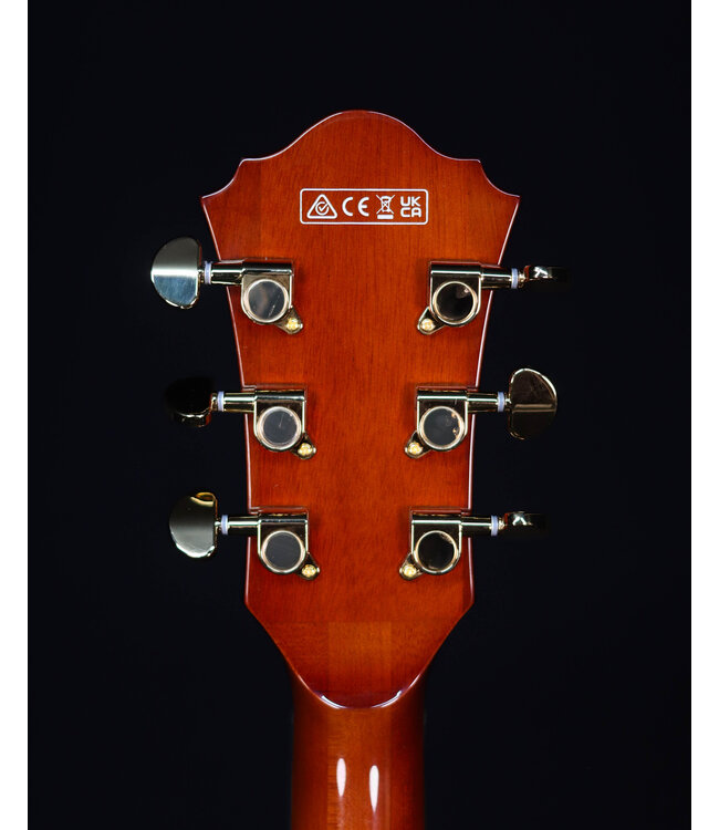 Ibanez AG95MGDA, AG Expressionist, Mango top/back/sides, Gold Hardware