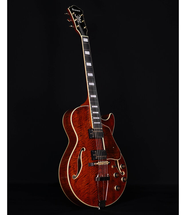 Ibanez AG95MGDA, AG Expressionist, Mango top/back/sides, Gold Hardware