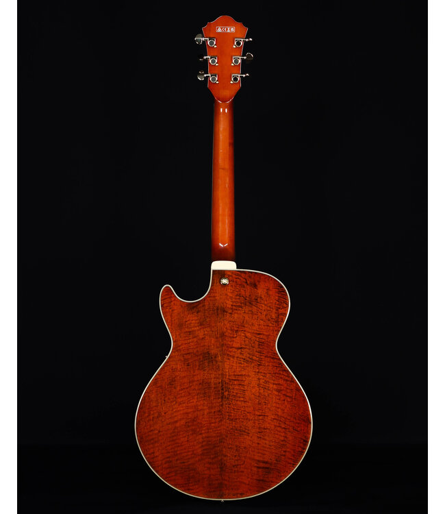 Ibanez AG95MGDA, AG Expressionist, Mango top/back/sides, Gold Hardware