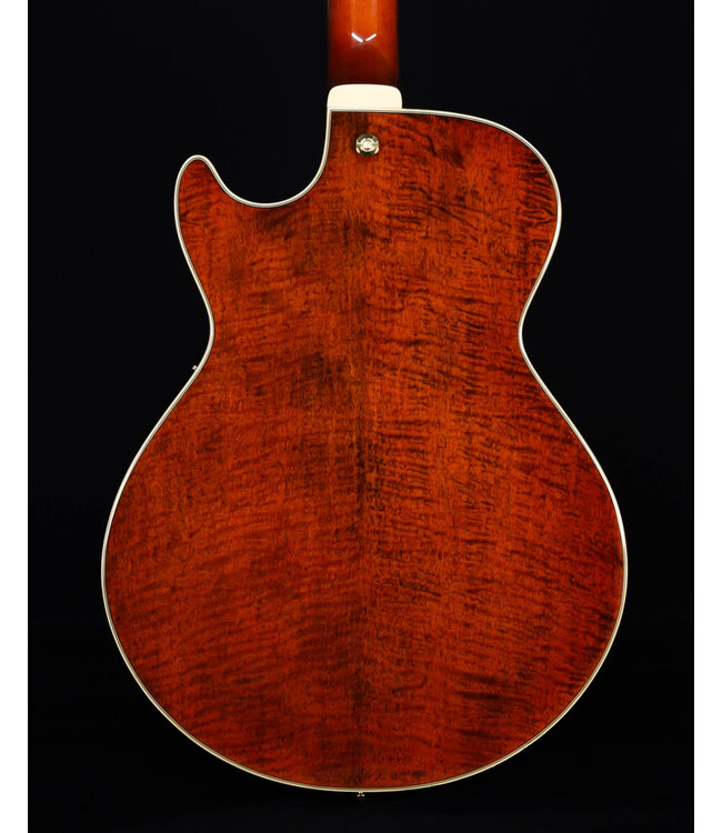 Ibanez AG95MGDA, AG Expressionist, Mango top/back/sides, Gold Hardware