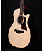 Taylor Builder's Edition 814ce, Next Generation, Indian Rosewood, Natural