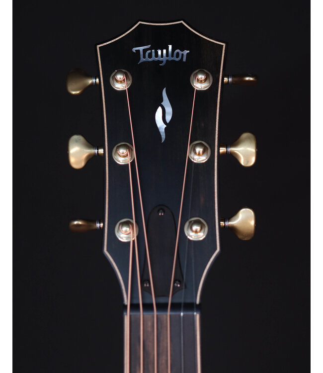 Taylor Builder's Edition 814ce, Next Generation, Indian Rosewood, Natural
