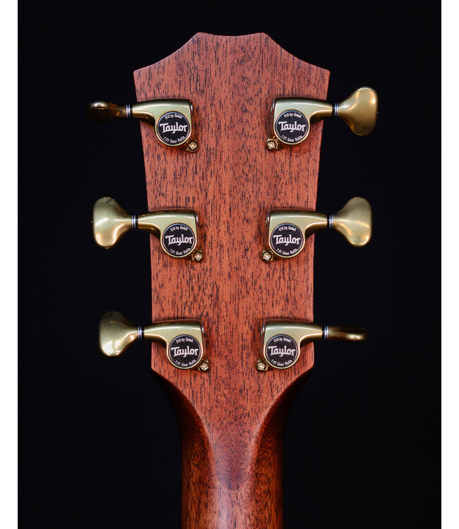 Taylor Builder's Edition 814ce, Next Generation, Indian Rosewood, Natural