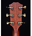 Taylor Builder's Edition 814ce, Next Generation, Indian Rosewood, Natural