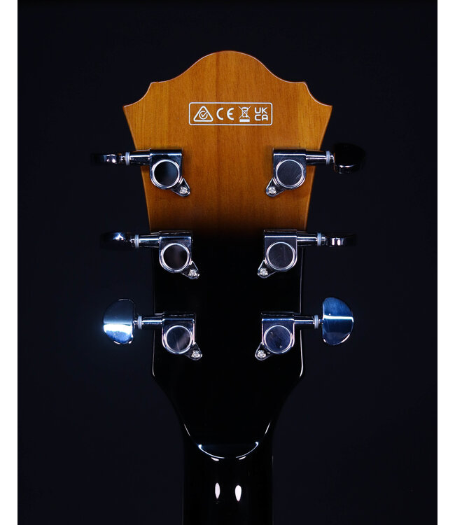 Ibanez AS7328 Hollow Body Baritone Electric, Tobacco Brown