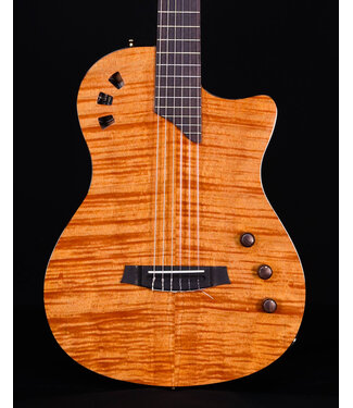 Cordoba Cordoba Fusion Stage Guitar, Natural Amber with Bag