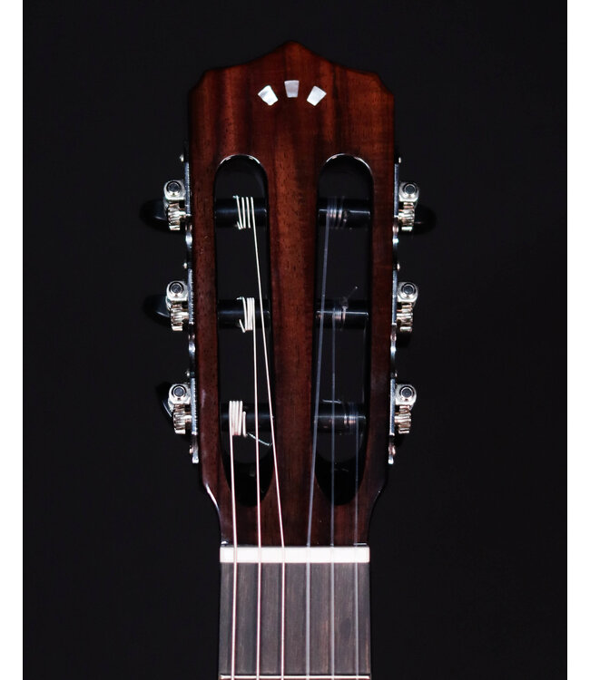 Cordoba Fusion 12 Cinnamon Burst Nylon String Guitar