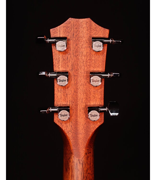 Taylor 414ce Studio Acoustic Electric Guitar, Honey Sunburst Collection