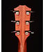 Taylor 414ce Studio Acoustic Electric Guitar, Honey Sunburst Collection