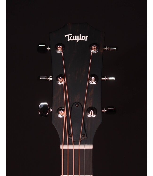 Taylor 414ce Studio Acoustic Electric Guitar, Honey Sunburst Collection