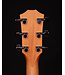 Taylor 214ce Acoustic Electric Guitar, Honey Sunburst Collection