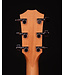 Taylor 214ce Acoustic Electric Guitar, Honey Sunburst Collection