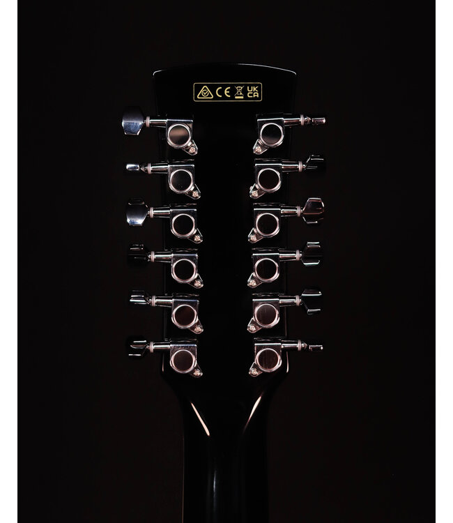 Ibanez AJ7012M1E Artwood Jumbo 12-String A/E Acoustic Guitar, Black