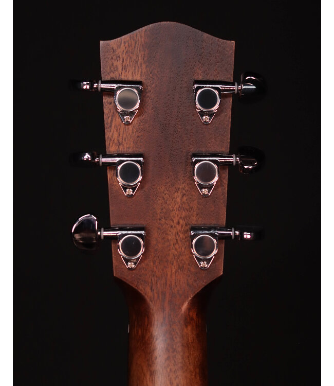 Eastman PCH2D, Solid Thermo-Cure Sitka Spruce Top, Laminated Rosewood Back and Sides